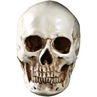 JIUQING cráneo Humano Decoracion Interiores Skull Calavera Adornos para Halloween Beige